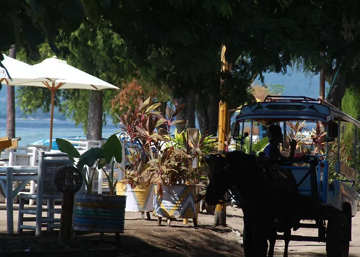 Star Bar And Bungalows